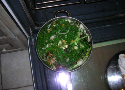 What’s in the Fridge – Lemon Chicken with Sauteed Cabbage What’s in the Fridge – Lemon Chicken with Sauteed Cabbage