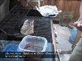 Chef Dennis – Tamarind & Guave Glazed Ribs with Bonatio Puree Chef Dennis – Tamarind & Guave Glazed Ribs with Bonatio Puree